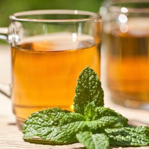 چای نعناع فلفلی نیوشا