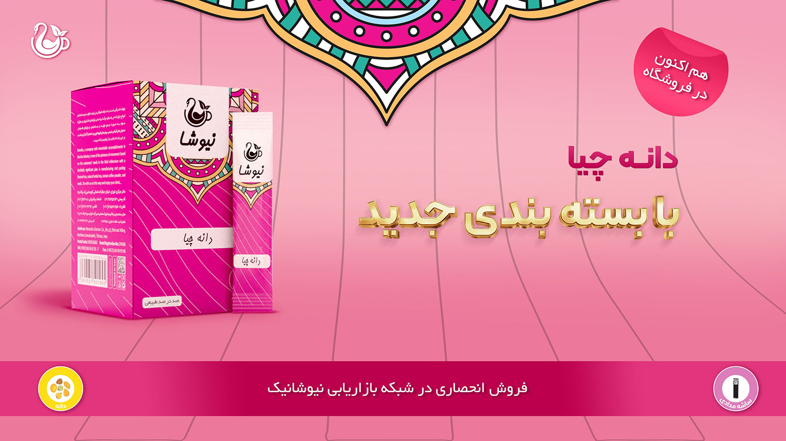 دانه چیا ساشه ای نیوشا